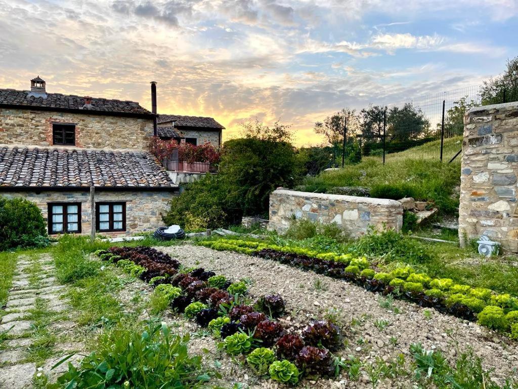 Гостевой дом Fattoria Casa Sola Барберино-Валь-д'Эльса Экстерьер фото